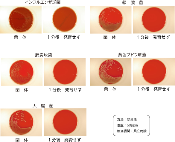 感染症の主たる原因となる菌に対する分解力